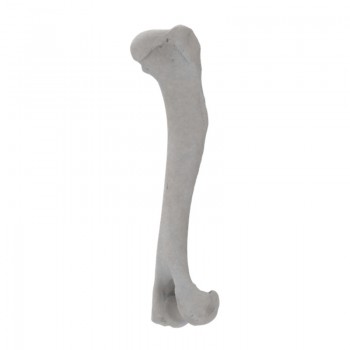Kość Psa ramienna Standard Cabiomede