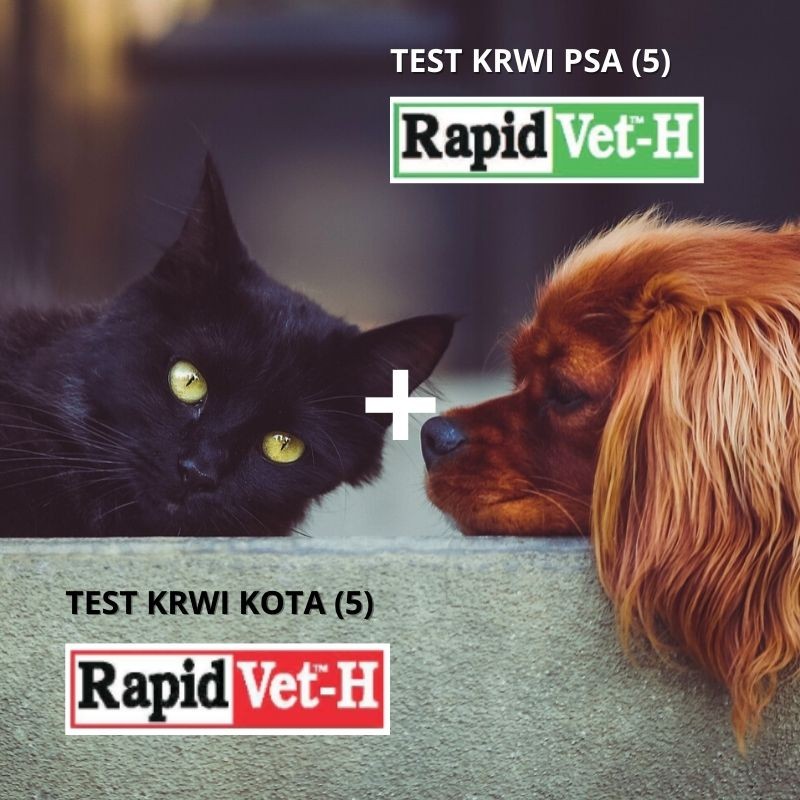 Pakiet testów krwi dla psa i kota (2x5) Agrolabo