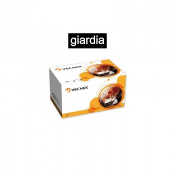 Test do wykrywania antygenu giardii Giardia Ag Rapid Test Cassette (op/10szt) VECHEK
