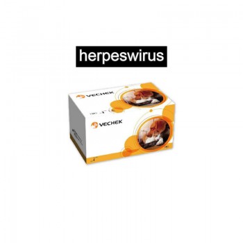 Test do wykrywania herpeswirusa zakaźnego FHV Rapid Test Cassette (op/10szt) VECHEK