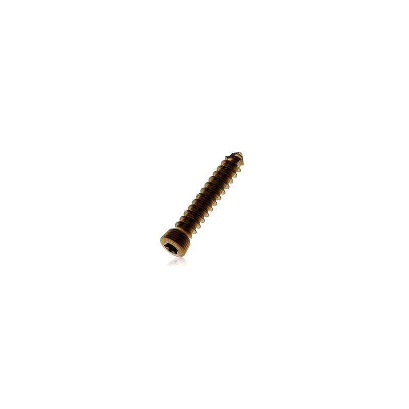 Śruba PAX 2.4mm Locking Screw (tytan) Securos