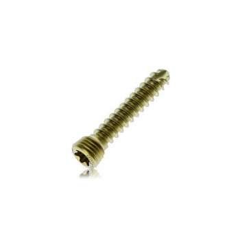 Śruba PAX 3.5mm Locking Screw (tytan) Securos